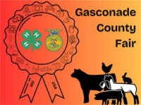 Annual Gasconade County Fair Owensville 2026