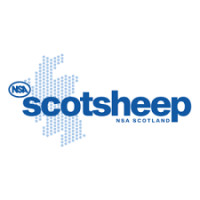 NSA Scotsheep Dunbar 2026